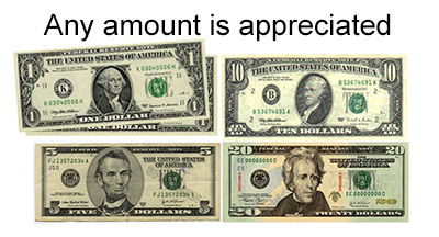 Racine, ,6 year old, 7 year old, national Anthem,A Photo Illusion,Wisconsin